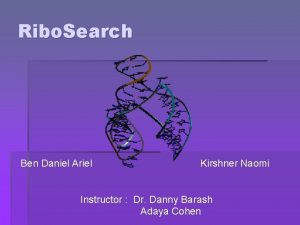 Ribo Search Ben Daniel Ariel Kirshner Naomi Instructor