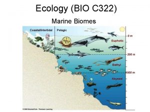 Ecology BIO C 322 Marine Biomes Biome Set