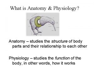 What is Anatomy Physiology Anatomy studies the structure
