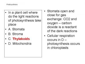 Photosynthesis Stomata open and In a plant cell