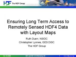 Ensuring Long Term Access to Remotely Sensed HDF