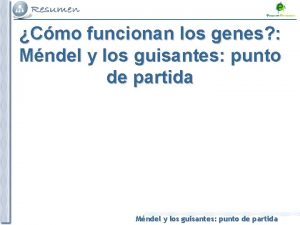 Cmo funcionan los genes Mndel y los guisantes