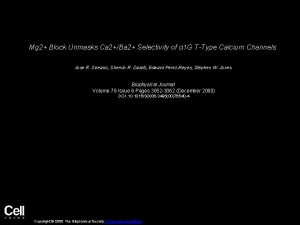 Mg 2 Block Unmasks Ca 2Ba 2 Selectivity