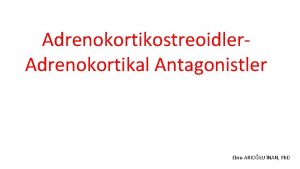 Adrenokortikostreoidler Adrenokortikal Antagonistler Ebru ARIOLU NAN Ph D