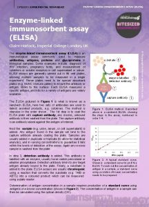 CATEGORY EXPERIMENTAL TECHNIQUES ENZYMELINKED IMMUNOSORBENT ASSAY ELISA Enzymelinked