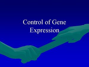 Control of Gene Expression Steps of gene expression