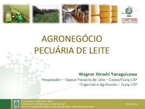 AGRONEGCIO PECURIA DE LEITE Wagner Hiroshi Yanaguizawa Pesquisador