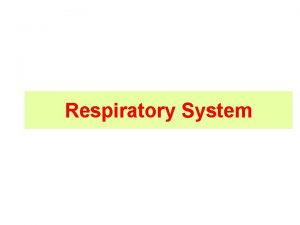 Respiratory System Respiratory system structure Upper respiratory system