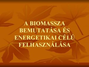 A BIOMASSZA BEMUTATSA S ENERGETIKAI CL FELHASZNLSA LLTALNOSGBAN