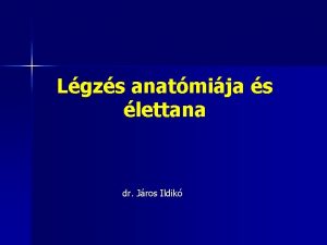 Lgzs anatmija s lettana dr Jros Ildik Lgzs