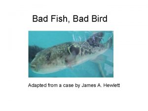 Bad Fish Bad Bird Adapted from a case