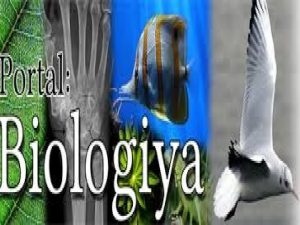 Biologiya Bios canl logos elm canl tbit haqqnda
