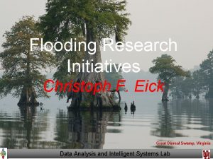 Flooding Research Initiatives Christoph F Eick Great Dismal