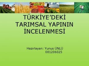 TRKYEDEK TARIMSAL YAPININ NCELENMES Hazrlayan Yunus NL 081206025