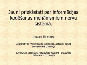 Jauni priekstati par informcijas kodanas mehnismiem nervu sistm