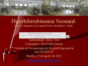 Hiperbilirrubinemia Neonatal Paulo R Margotto Liu Campelo Porto