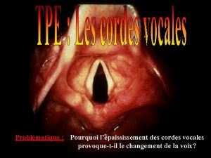 Problmatique Pourquoi lpaississement des cordes vocales provoquetil le