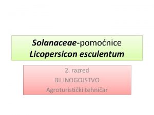 Solanaceaepomonice Licopersicon esculentum 2 razred BILINOGOJSTVO Agroturistiki tehniar