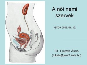 A ni nemi szervek GYOK 2008 04 10