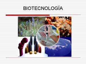 BIOTECNOLOGA Generalidades La Biotecnologa es la ciencia que