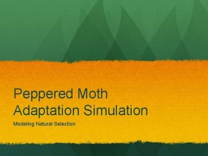 Peppered Moth Adaptation Simulation Modeling Natural Selection Your