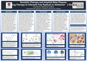 Senolytic Therapy and Amyloid Beta Plaques Drug Therapy