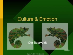 Culture Emotion Cor Baerveldt 9252021 1 Copyright 2002