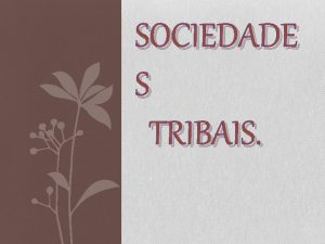 SOCIEDADE S TRIBAIS As sociedades tribais no tm