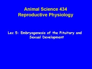 Animal Science 434 Reproductive Physiology Lec 5 Embryogenesis