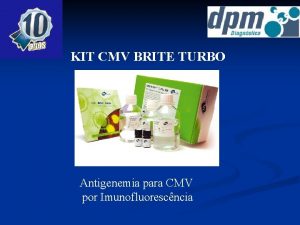 KIT CMV BRITE TURBO Antigenemia para CMV por