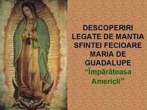 DESCOPERIRI LEGATE DE MANTIA SFINTEI FECIOARE MARIA DE