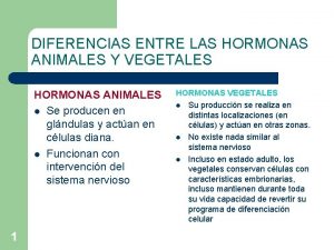 DIFERENCIAS ENTRE LAS HORMONAS ANIMALES Y VEGETALES HORMONAS