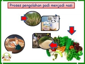 Proses pengolahan padi menjadi nasi KELOMPOK TEMA SUB