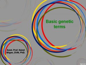 Basic genetic terms Asist Prof Nuket Bilgen DVM