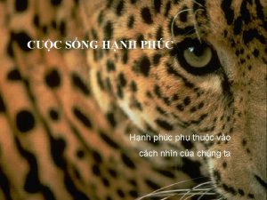 CUC SNG HNH PHC Hnh phc ph thuc