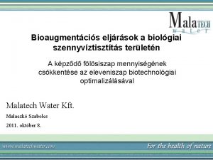 Bioaugmentcis eljrsok a biolgiai szennyvztisztts terletn A kpzd