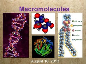 Macromolecules August 16 2013 Objectives Identify macromolecule type