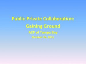 PublicPrivate Collaboration Gaining Ground ACP of Tampa Bay