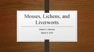 Mosses Lichens and Liverworts Daniel A Salomon March