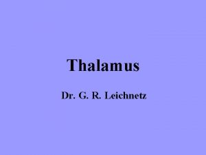 Thalamus Dr G R Leichnetz Divisions of the