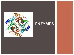 Most enzymes are *
