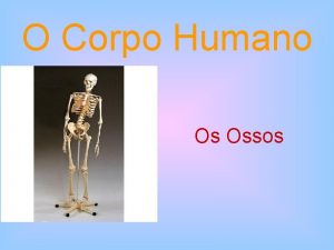 O Corpo Humano Os Ossos E por falar