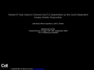 Slowed NType Calcium Channel Ca V 2 2