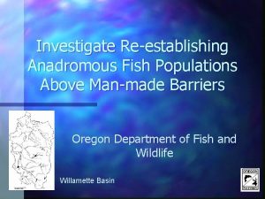 Investigate Reestablishing Anadromous Fish Populations Above Manmade Barriers