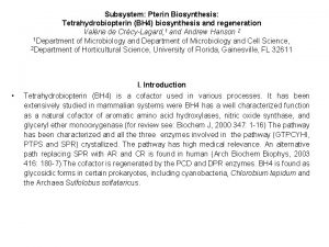 Subsystem Pterin Biosynthesis Tetrahydrobiopterin BH 4 biosynthesis and