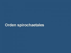 Orden spirochaetales Orden spirochaetales Familia spirochaetaceae Gnero Spirochaeta