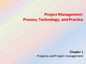 Project Management Process Technology and Practice Chapter 1