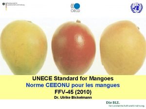 UNECE Standard for Mangoes Norme CEEONU pour les