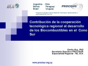 Argentina Bolivia Brasil Chile Paraguay Uruguay Programa Cooperativo
