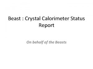 Beast Crystal Calorimeter Status Report On behalf of